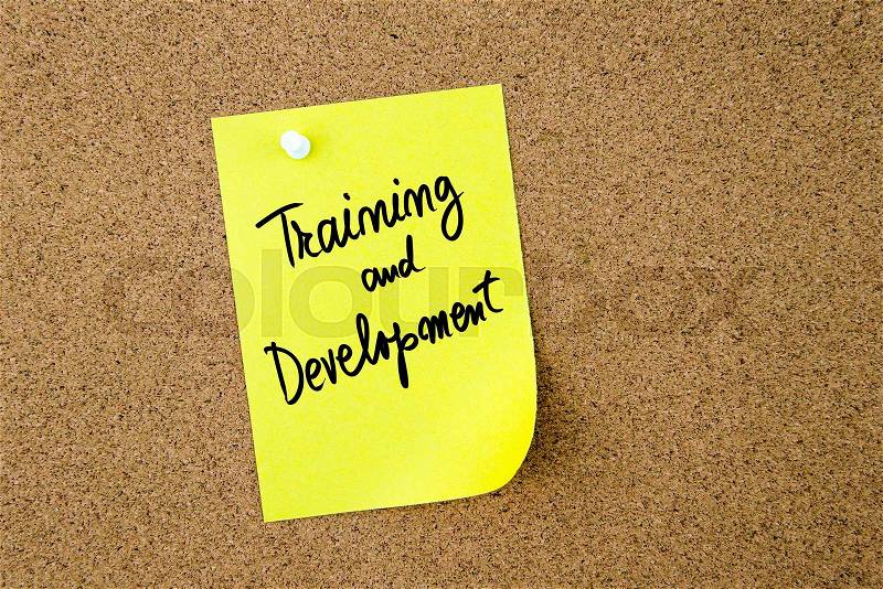 Training and Development written on yellow paper note pinned on cork board with white thumbtack, copy space available, stock photo