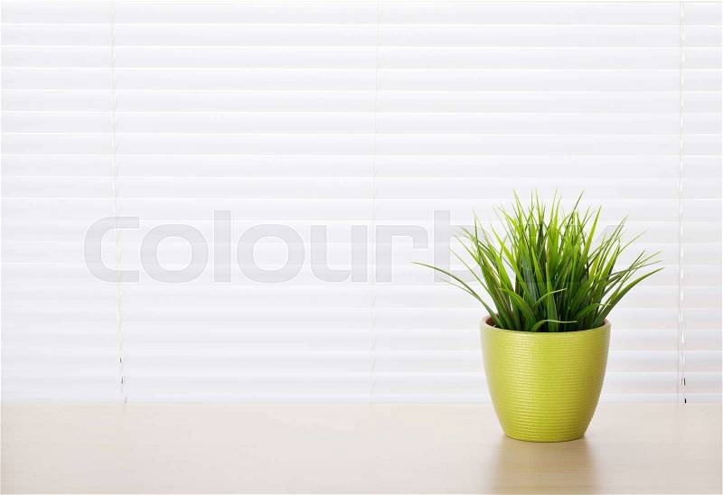 Office workplace with potted plant on wood desk table in front of window with blinds, stock photo