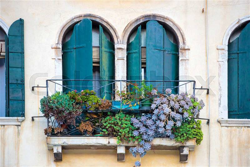 Flowers in a box on the window. Venice, Italy, stock photo