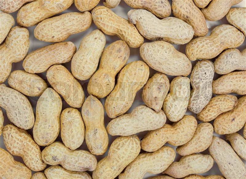 Roasted peanuts in shell. texture macro, stock photo