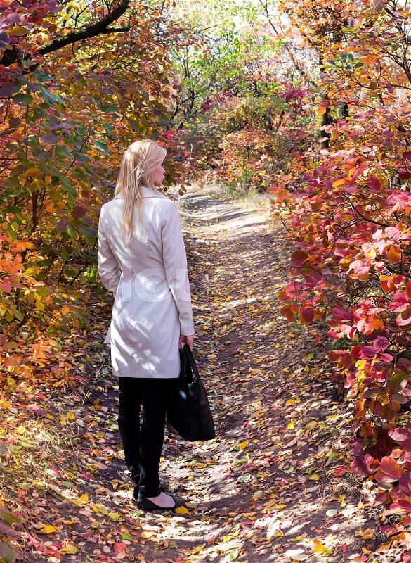 Concept of the fall season. Lonely woman in a bright autumn forest Rear view, stock photo
