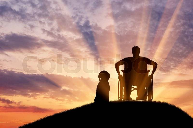 Concept of disability and old age. Silhouette of disabled person in a wheelchair with his dog at sunset, stock photo