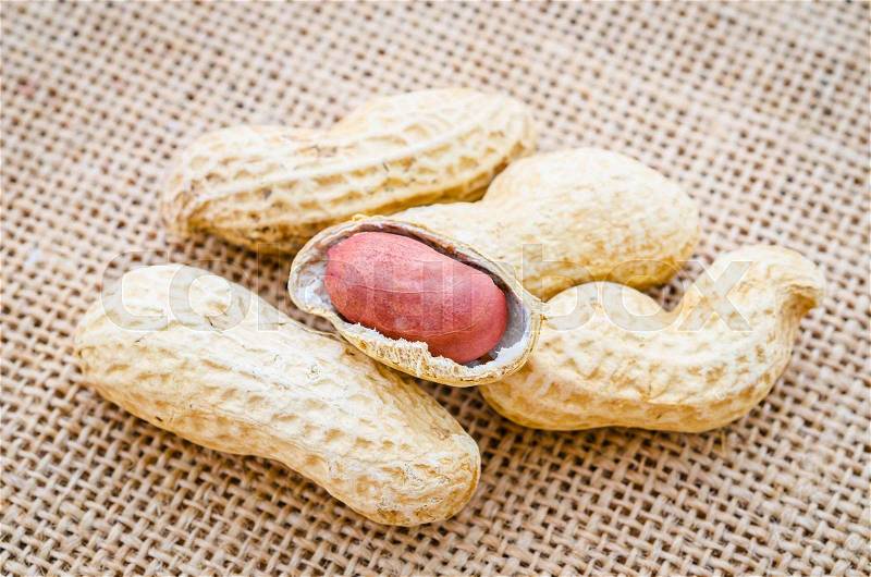 Peanuts in shells on sack background, stock photo