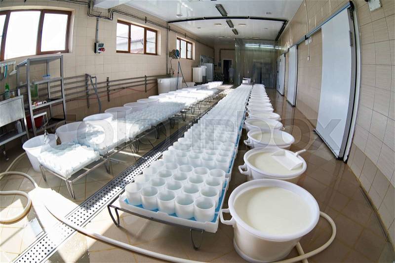 Plastic molds and milk with ferment for the production of soft cheese, stock photo
