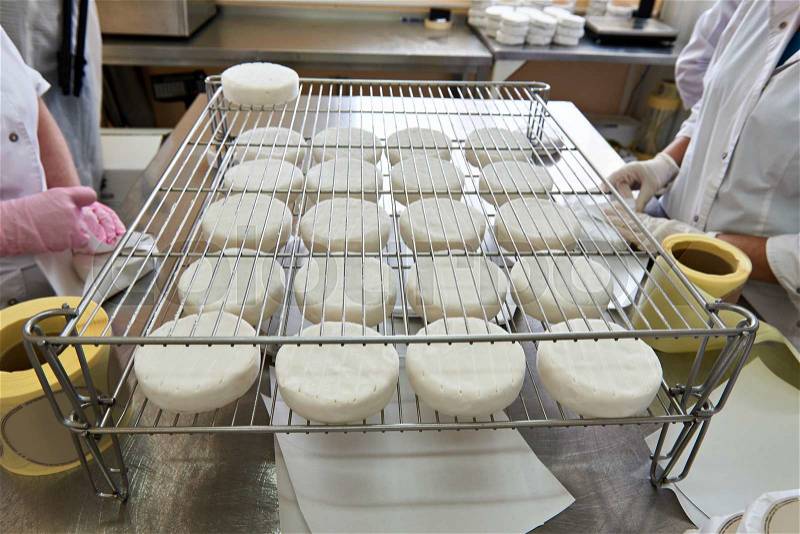 Manual packaging of cheese camembert in factory, stock photo