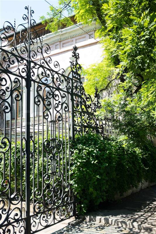 New wrought iron gates and the green trees and bushes, stock photo
