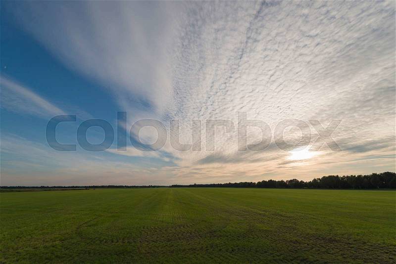Vast mowed grass land with beautiful evening sky and clouds , stock photo