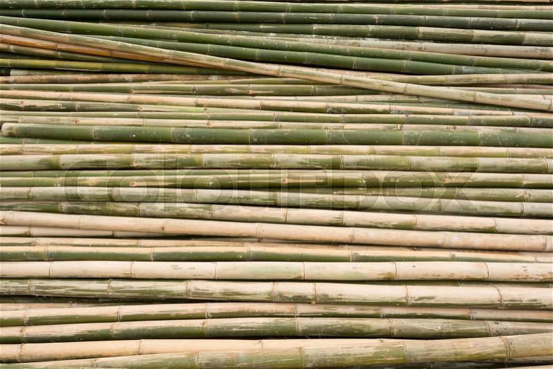 Front bamboo background , soft Focus, stock photo