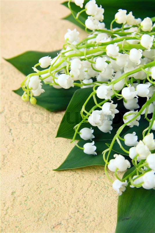 Lovely bunch of lily of the valley on a stone background, stock photo