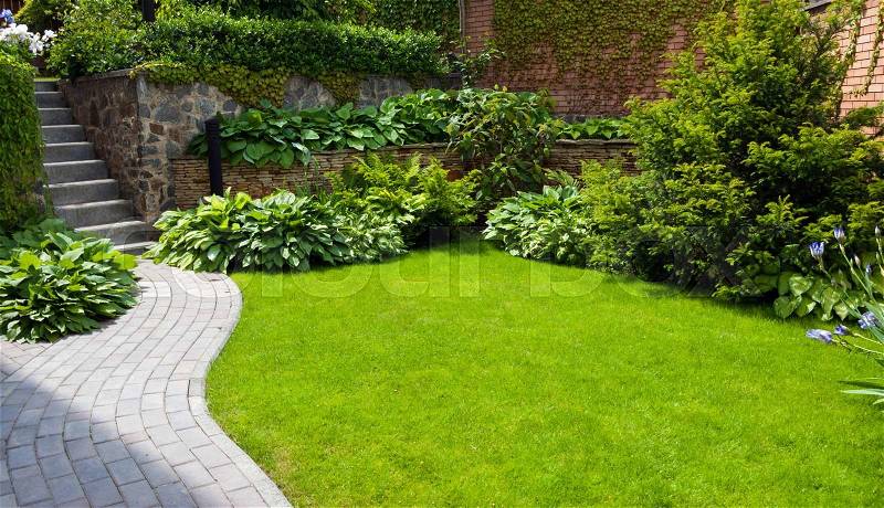 Garden stone path with grass growing up between the stones, stock photo