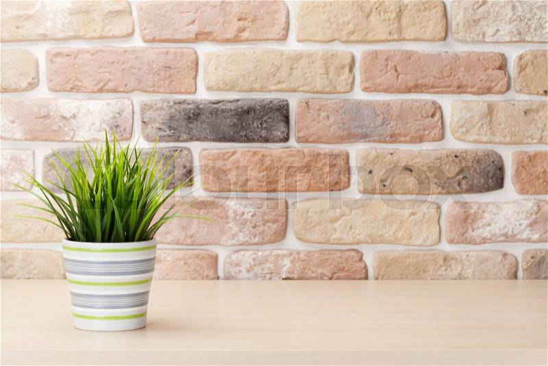 Potted plant on shelf in front of brick wall. View with copy space, stock photo