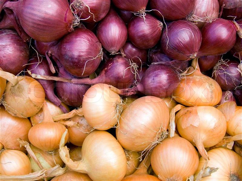 Agricultural background, a pile of beautiful bulb onions, stock photo