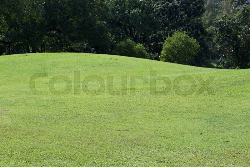 Lawn of golf course, green grass field in the park, stock photo