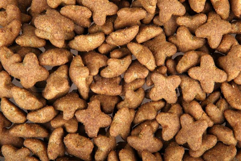 Dry dog food, stock photo