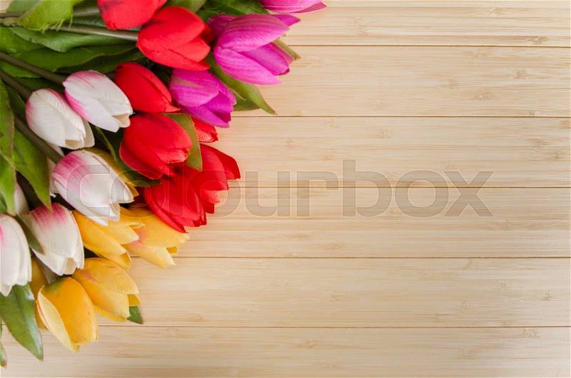 Tulips flowers arranged with copyspace for your text, stock photo
