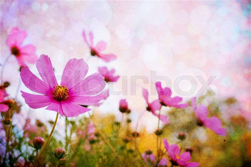 Beautiful background with grunge flowers. Flowers vintage background, stock photo