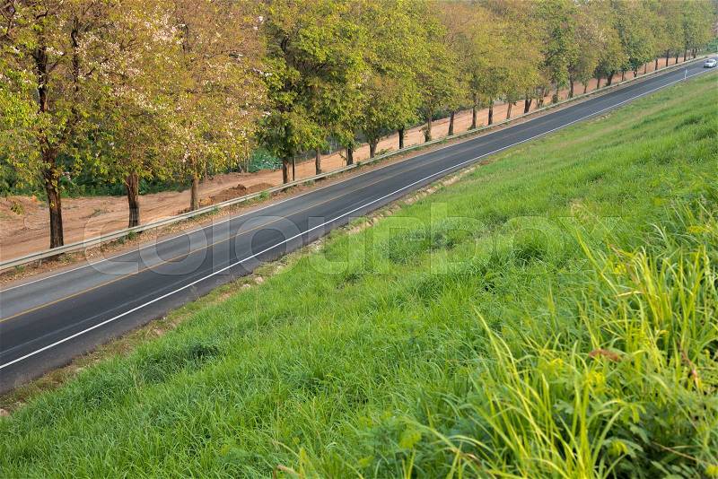 Long road with tree and grass field around, stock photo