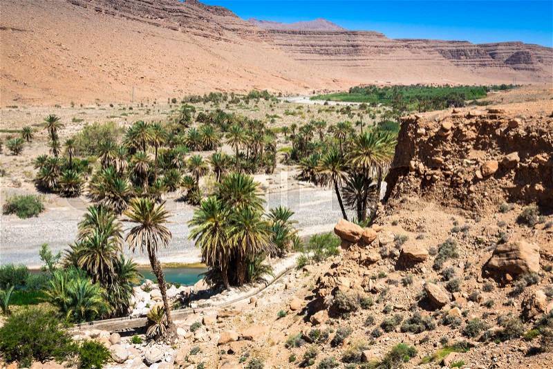 Wide view of canyon and cultivated fields and palms in Errachidia Valley Morocco North Africa Africa, stock photo