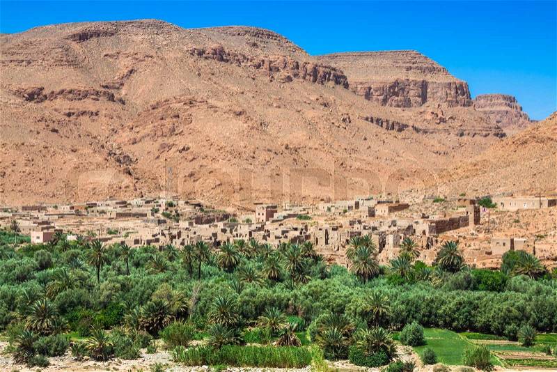 Wide view of cultivated fields and palms in Errachidia Morocco North Africa Africa, deep blue sky, stock photo