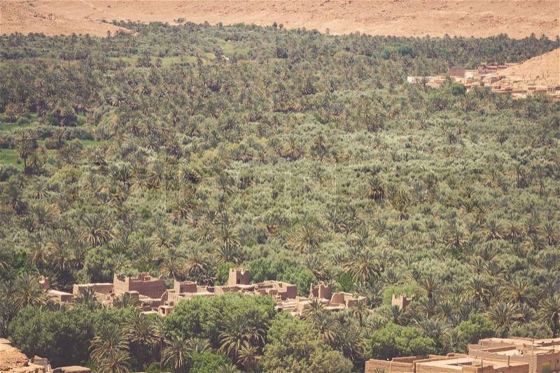 Cultivated fields and palms in Errachidia Morocco North Africa Africa, stock photo