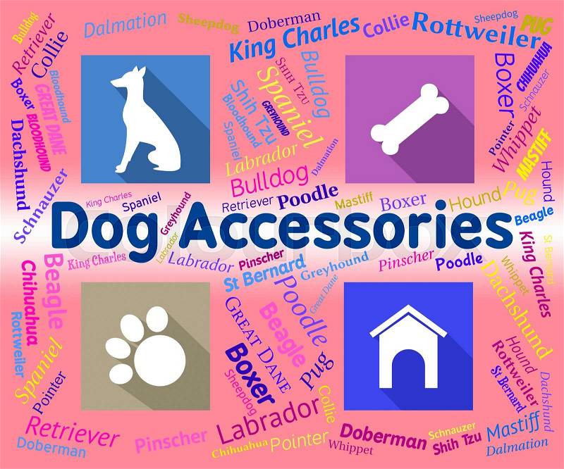 Dog Accessories Indicates Canine Accessory And Pedigree, stock photo