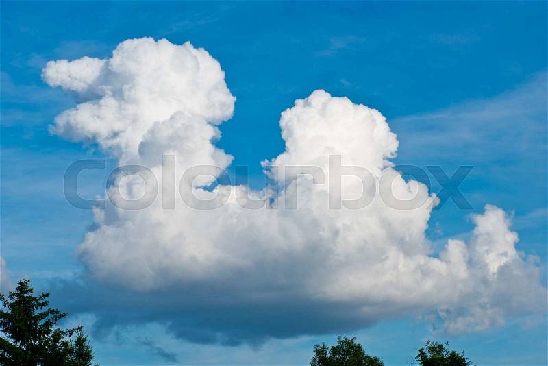 Clouds on the sky like runnig poodle dog, it is not composite image, stock photo