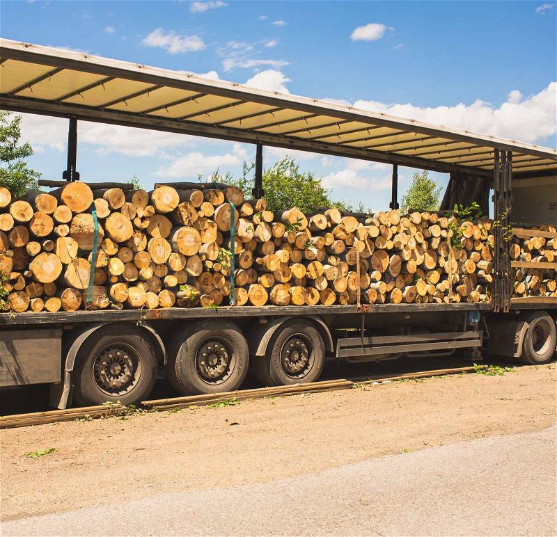 A log truck delivers its load in Bulgaria, stock photo