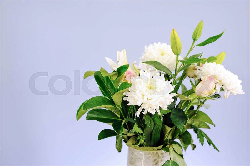 A studio photo of a vase of flowers, stock photo