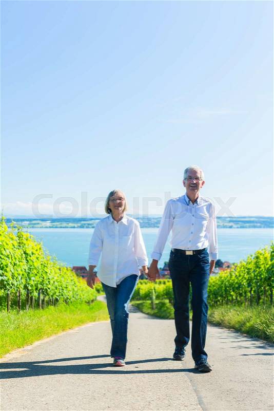 Senior couple, woman and man, having walk in vineyard, stock photo