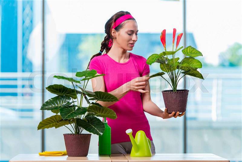 Young woman taking care of home plants, stock photo