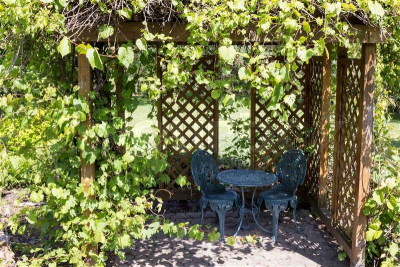 Backyard trellis with green vines growing and ornate table patio set, stock photo