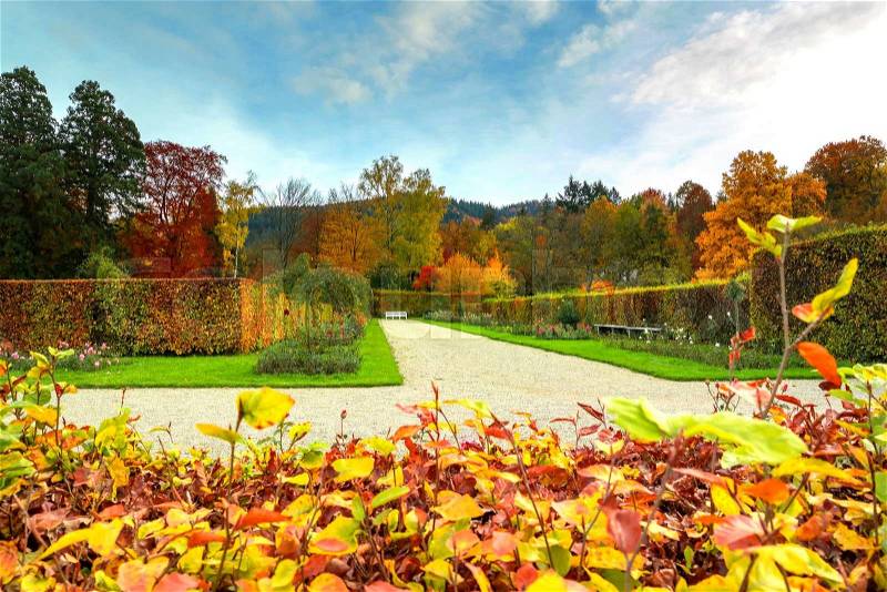 Autumn Colors. Beautiful Autumn Landscape, stock photo