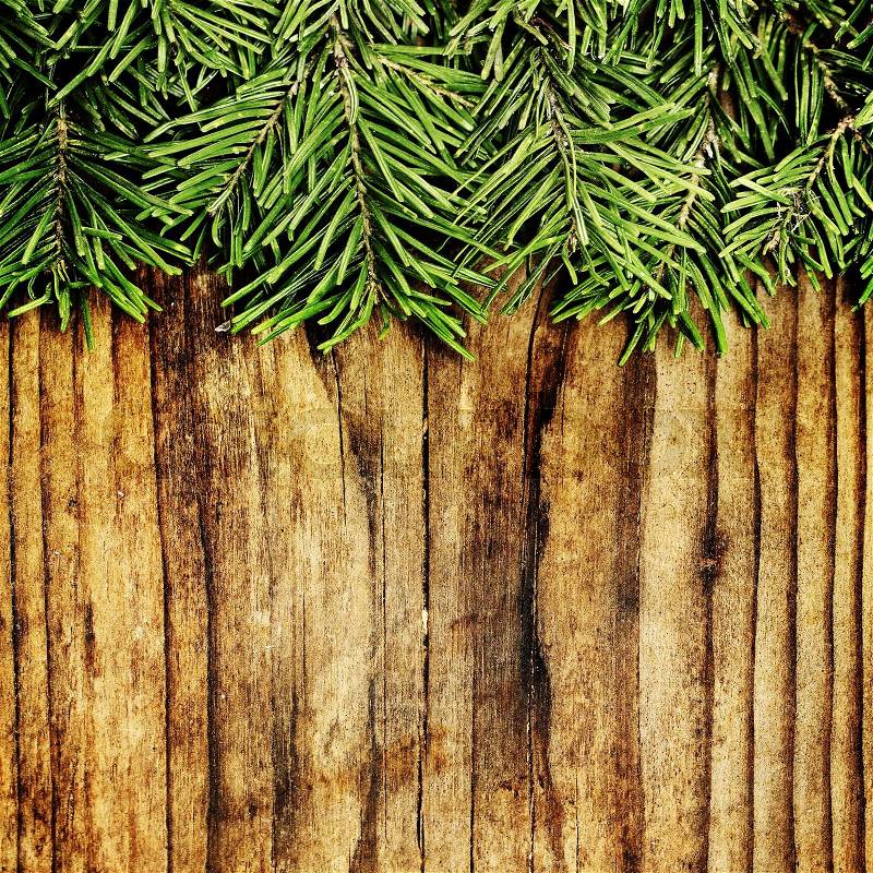 Christmas Background Border. Green Xmas Fir Branch on Wooden Background, stock photo