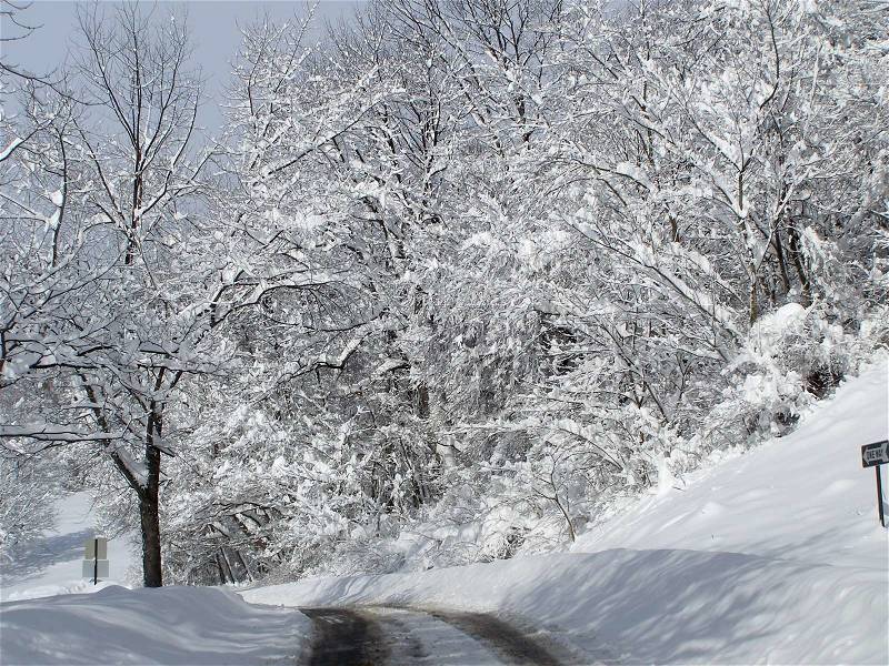 Winter landscape. Winter road and trees covered with snow, stock photo
