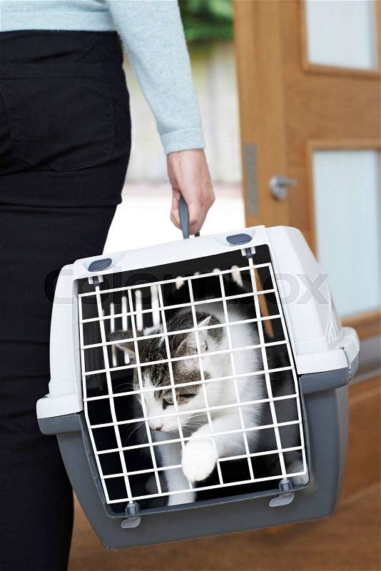 Woman Taking Pet Cat To Vet In Carrier, stock photo