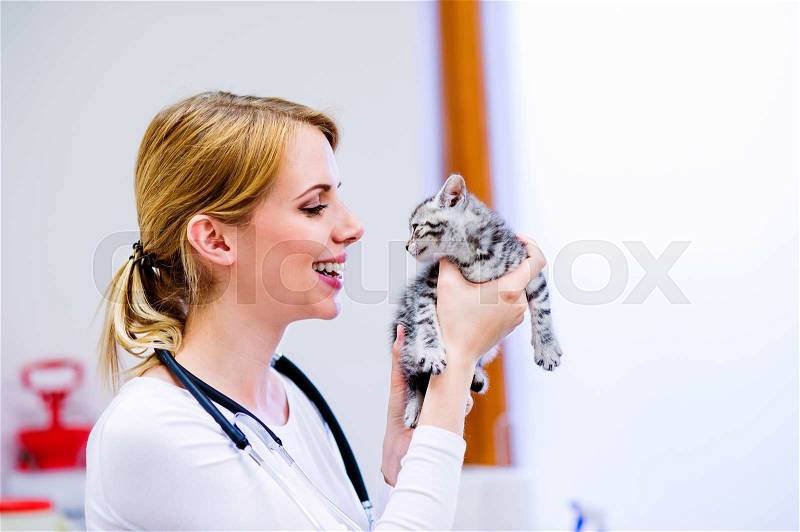 Veterinarian with stethoscope holding little sick cat. Young blond woman in white uniform working at Veterinary clinic, stock photo