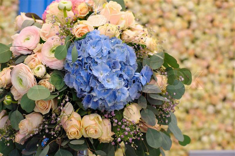Beautiful blue Hydrangea macrophylla in bouquet of bride, stock photo