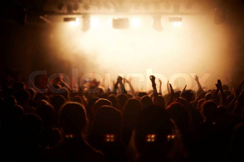 Cheering fans during a life concert, stock photo