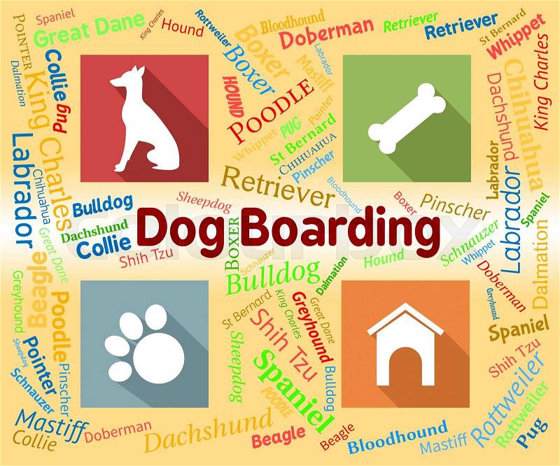 Dog Boarding Represents Pets Vacation And Puppy, stock photo