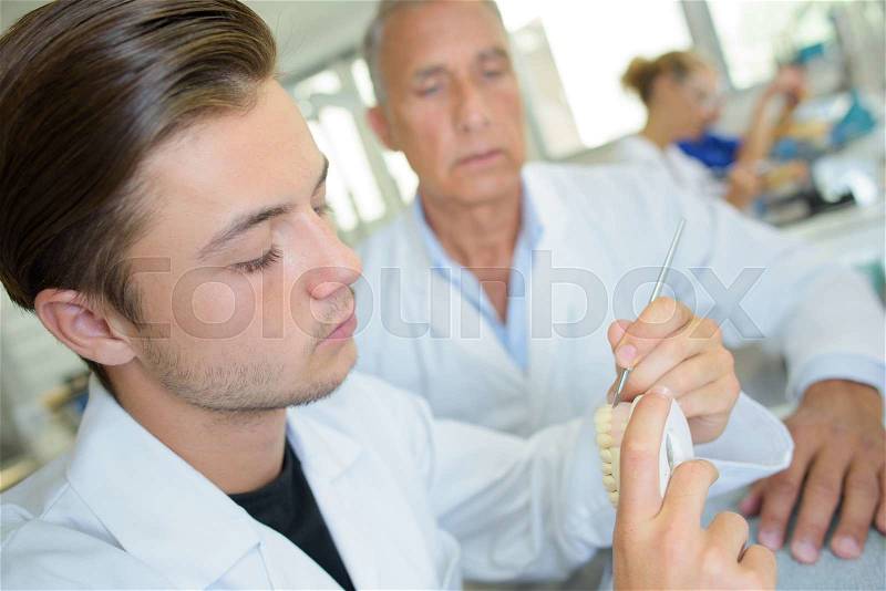 Dental lab worker, stock photo
