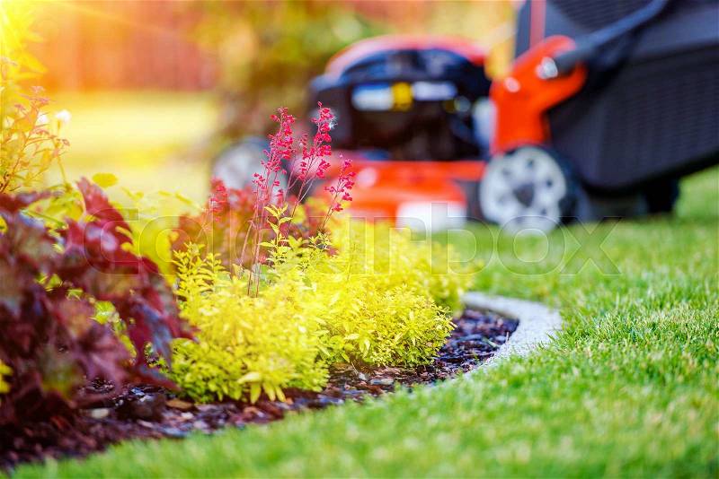 Taking Care of Garden Concept. Garden Plants and Grass Mower in the Background, stock photo