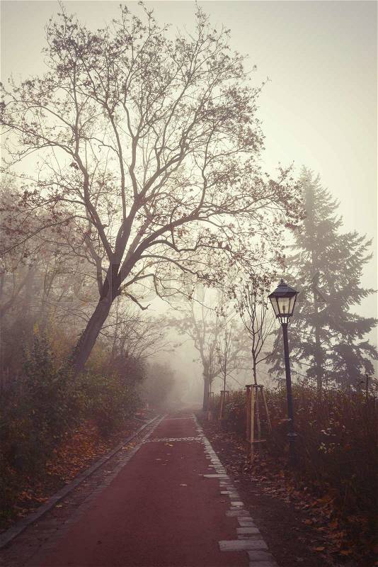 Misty morning in a city forest park with a red gravel footpath and a street lamp, stock photo