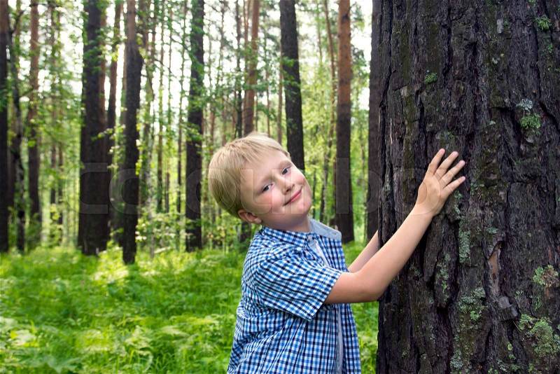Child (boy, hands) hugging pine (tree), playing and having fun outdoor in summer forest (park). Environmental protection concept, stock photo