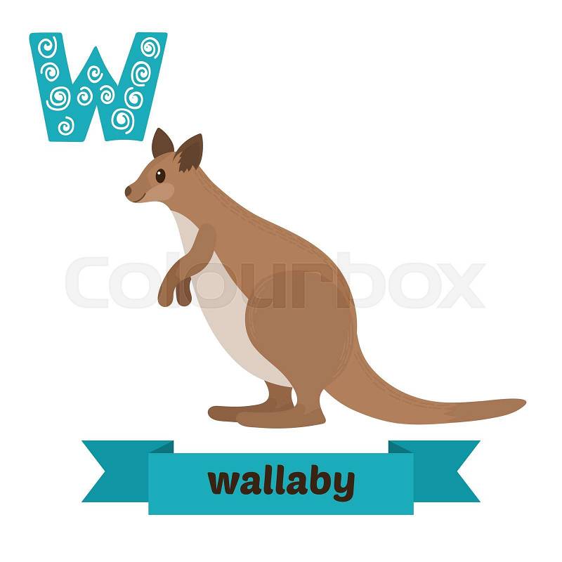 Wallaby W Letter Cute Children Animal Alphabet In Vector Funny