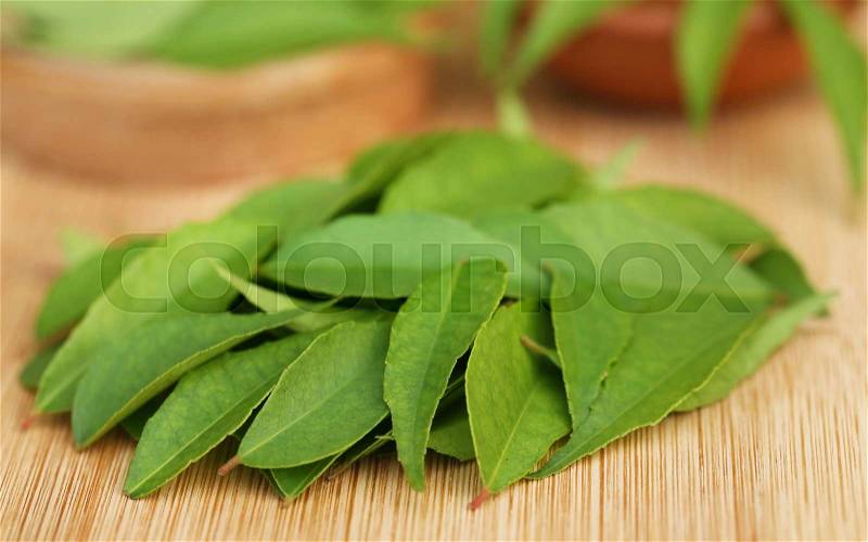 Curry leaves on wooden surface, stock photo