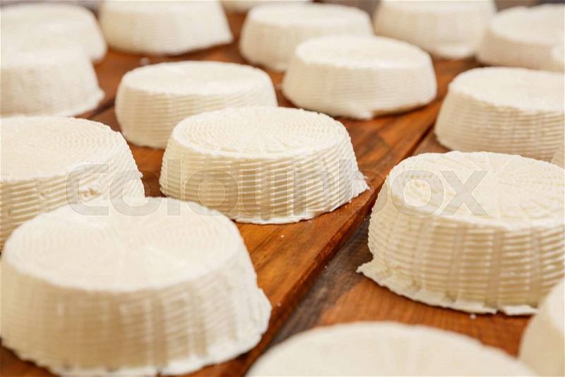Salty goat cheese heads on a wooden shelf in a cellar on a private farm. Cheese manufacture, stock photo