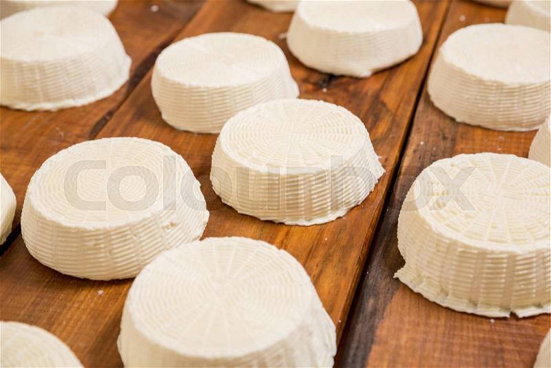 Salty goat cheese heads on a wooden shelf in a cellar on a private farm. Cheese manufacture, stock photo