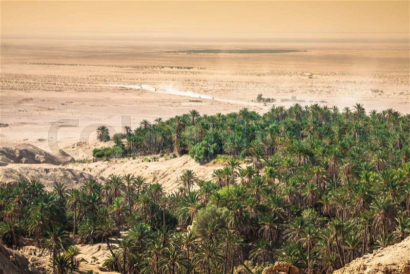 Mountain oasis Chebika at border of Sahara, Tunisia, Africa, stock photo