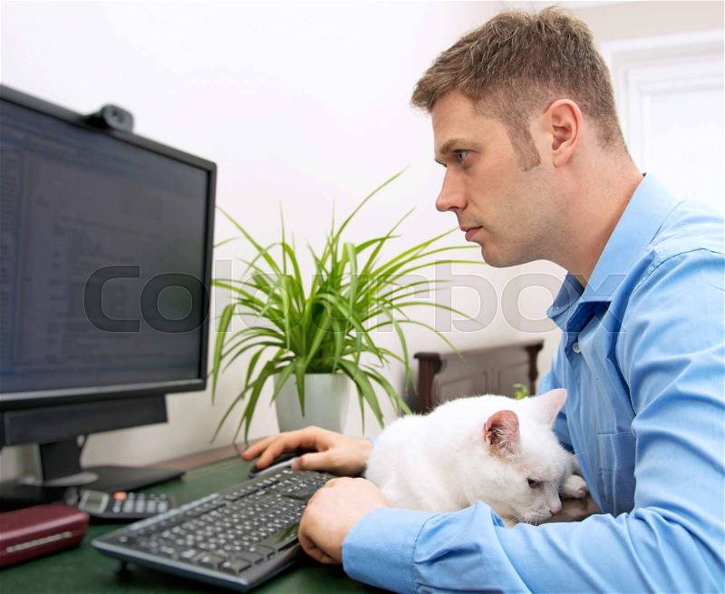Male programmer working at pc computer with cat, stock photo