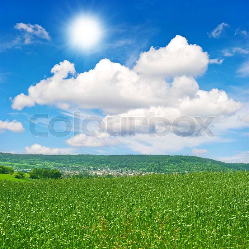 Green field over blue sky, stock photo